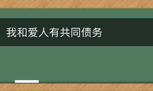 我和爱人有共同债务