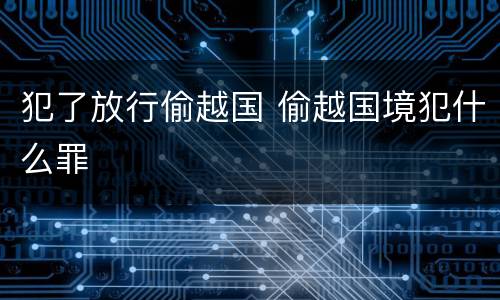 犯了放行偷越国 偷越国境犯什么罪