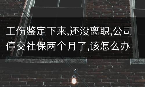 工伤鉴定下来,还没离职,公司停交社保两个月了,该怎么办