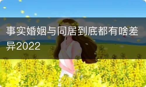 事实婚姻与同居到底都有啥差异2022