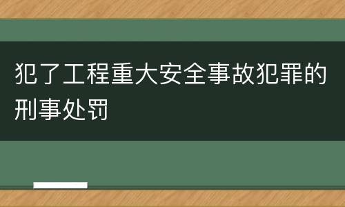 犯了工程重大安全事故犯罪的刑事处罚