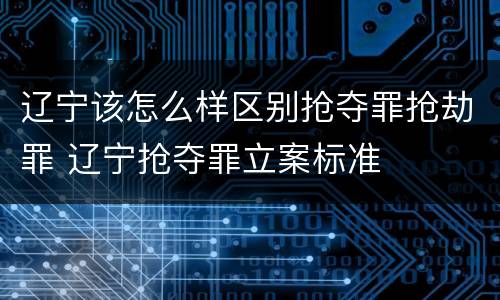 辽宁该怎么样区别抢夺罪抢劫罪 辽宁抢夺罪立案标准