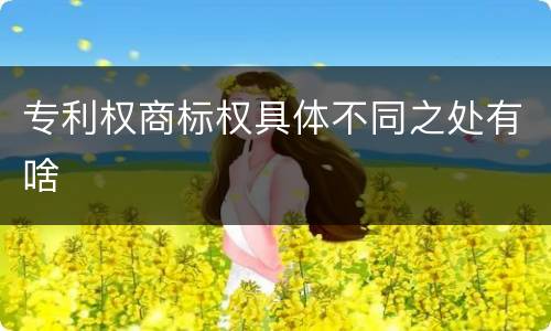 专利权商标权具体不同之处有啥