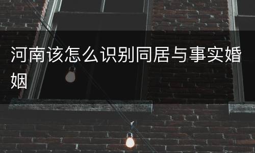 河南该怎么识别同居与事实婚姻