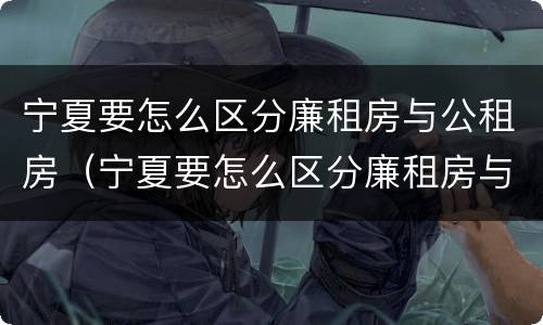宁夏要怎么区分廉租房与公租房（宁夏要怎么区分廉租房与公租房呢）