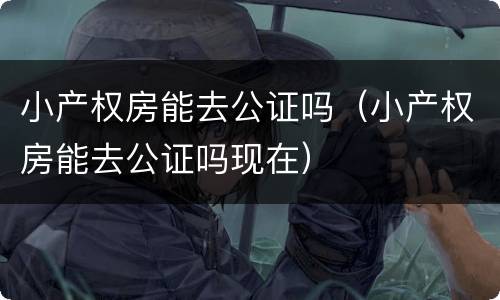 小产权房能去公证吗（小产权房能去公证吗现在）
