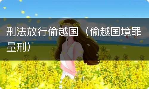 刑法放行偷越国（偷越国境罪量刑）