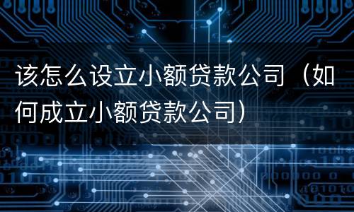该怎么设立小额贷款公司（如何成立小额贷款公司）