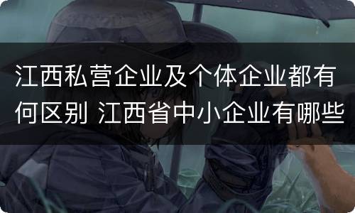 江西私营企业及个体企业都有何区别 江西省中小企业有哪些