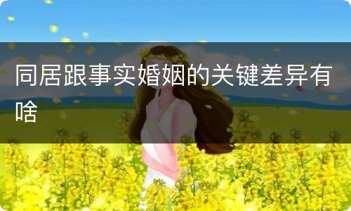 同居跟事实婚姻的关键差异有啥