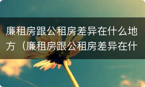 廉租房跟公租房差异在什么地方（廉租房跟公租房差异在什么地方解决）