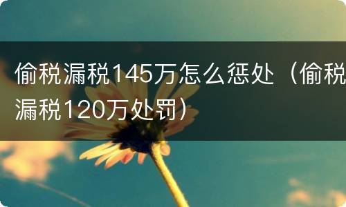 偷税漏税145万怎么惩处（偷税漏税120万处罚）