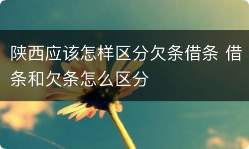 陕西应该怎样区分欠条借条 借条和欠条怎么区分