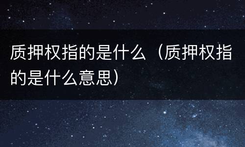 质押权指的是什么（质押权指的是什么意思）