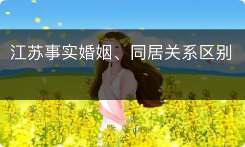 江苏事实婚姻、同居关系区别