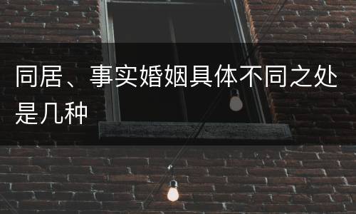 同居、事实婚姻具体不同之处是几种