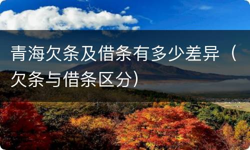 青海欠条及借条有多少差异（欠条与借条区分）