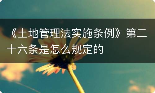《土地管理法实施条例》第二十六条是怎么规定的