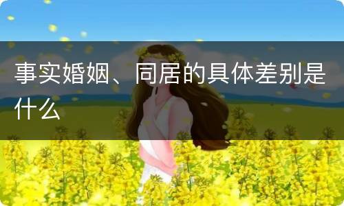 事实婚姻、同居的具体差别是什么