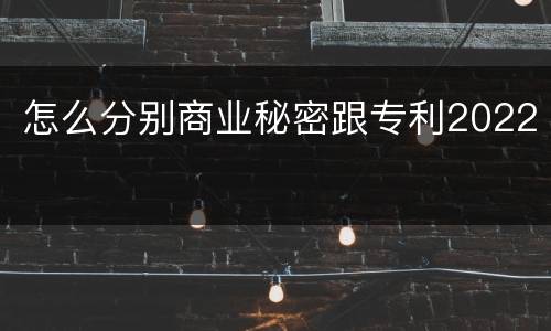 怎么分别商业秘密跟专利2022