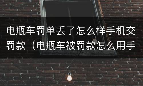 电瓶车罚单丢了怎么样手机交罚款（电瓶车被罚款怎么用手机缴纳没有罚单丢了）