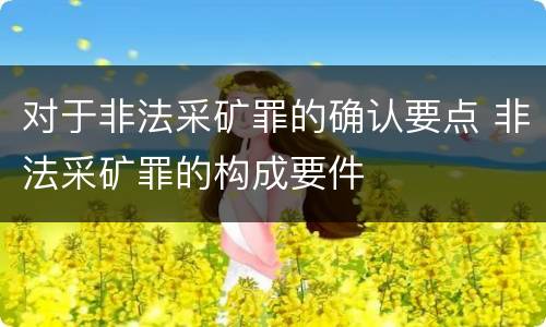 对于非法采矿罪的确认要点 非法采矿罪的构成要件