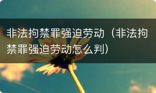 非法拘禁罪强迫劳动（非法拘禁罪强迫劳动怎么判）