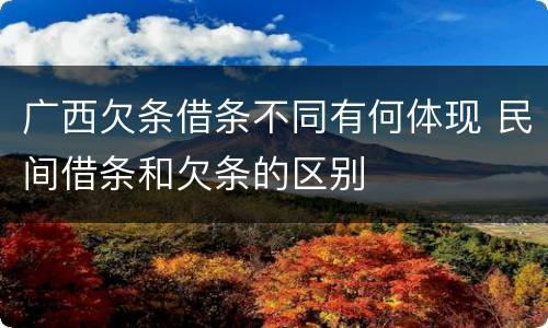 广西欠条借条不同有何体现 民间借条和欠条的区别