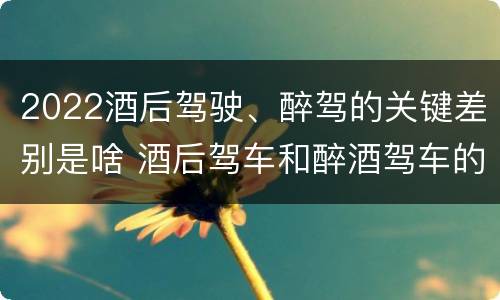 2022酒后驾驶、醉驾的关键差别是啥 酒后驾车和醉酒驾车的标准及处罚