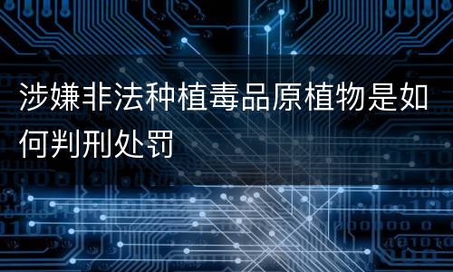 涉嫌非法种植毒品原植物是如何判刑处罚