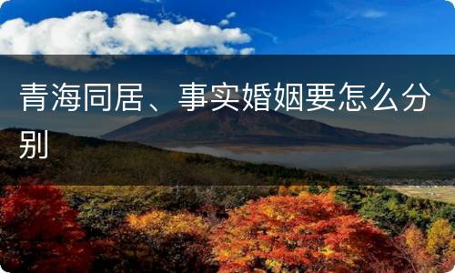 青海同居、事实婚姻要怎么分别
