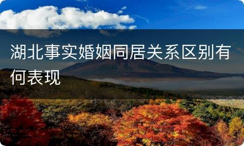湖北事实婚姻同居关系区别有何表现