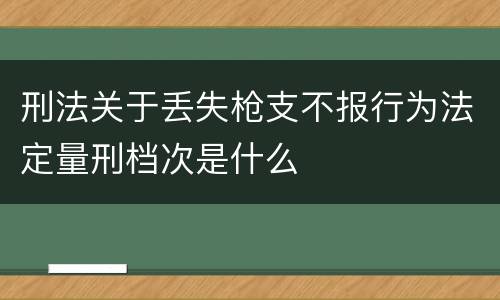 刑法关于丢失枪支不报行为法定量刑档次是什么