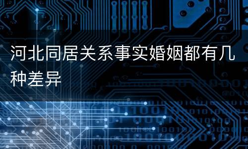 河北同居关系事实婚姻都有几种差异