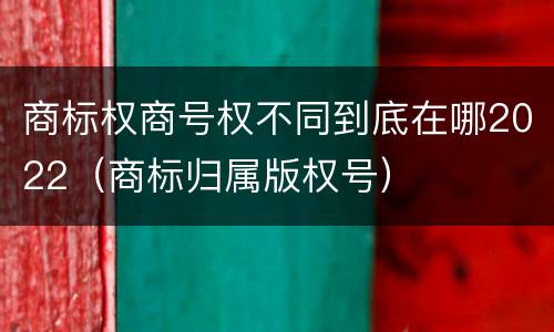 商标权商号权不同到底在哪2022（商标归属版权号）