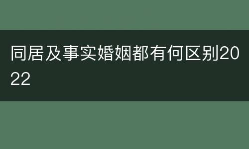 同居及事实婚姻都有何区别2022