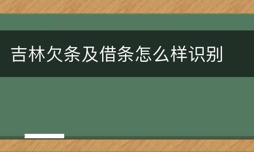 吉林欠条及借条怎么样识别