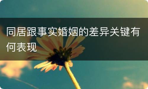 同居跟事实婚姻的差异关键有何表现
