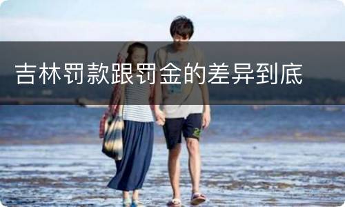 吉林罚款跟罚金的差异到底