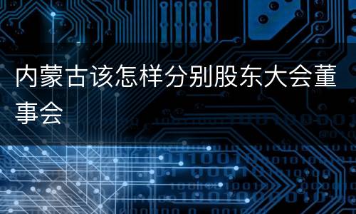 内蒙古该怎样分别股东大会董事会
