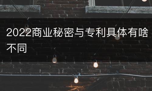 2022商业秘密与专利具体有啥不同