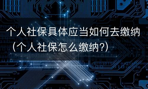 个人社保具体应当如何去缴纳（个人社保怎么缴纳?）