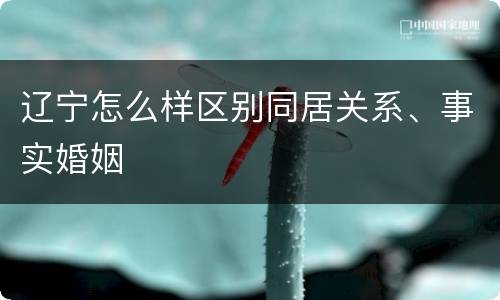 辽宁怎么样区别同居关系、事实婚姻
