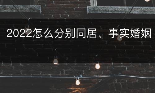 2022怎么分别同居、事实婚姻