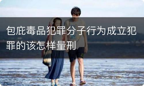 包庇毒品犯罪分子行为成立犯罪的该怎样量刑
