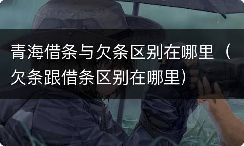青海借条与欠条区别在哪里(欠条跟借条区别在哪里)