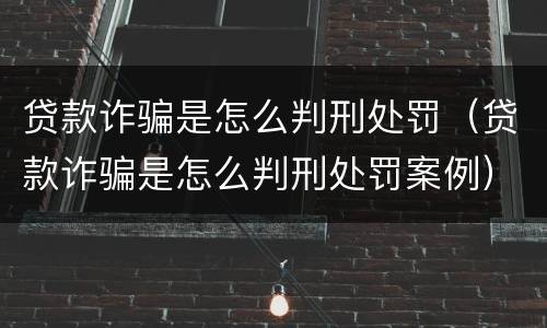 贷款诈骗是怎么判刑处罚（贷款诈骗是怎么判刑处罚案例）