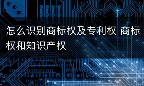 怎么识别商标权及专利权 商标权和知识产权