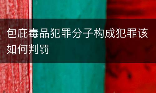 包庇毒品犯罪分子构成犯罪该如何判罚