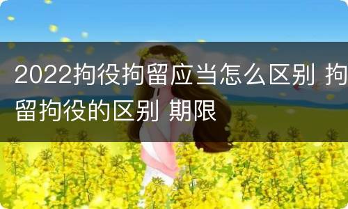 2022拘役拘留应当怎么区别 拘留拘役的区别 期限